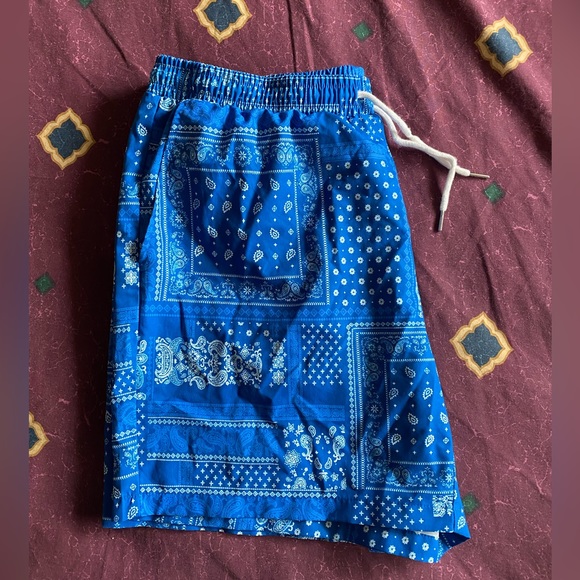 Paisley Print Shorts - Picture 2 of 3